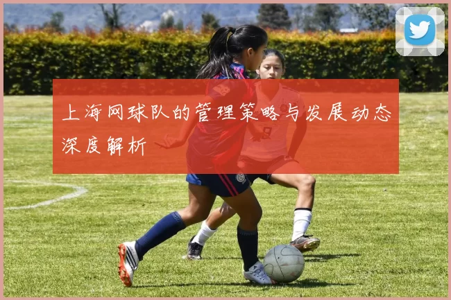 上海网球队的管理策略与发展动态深度解析