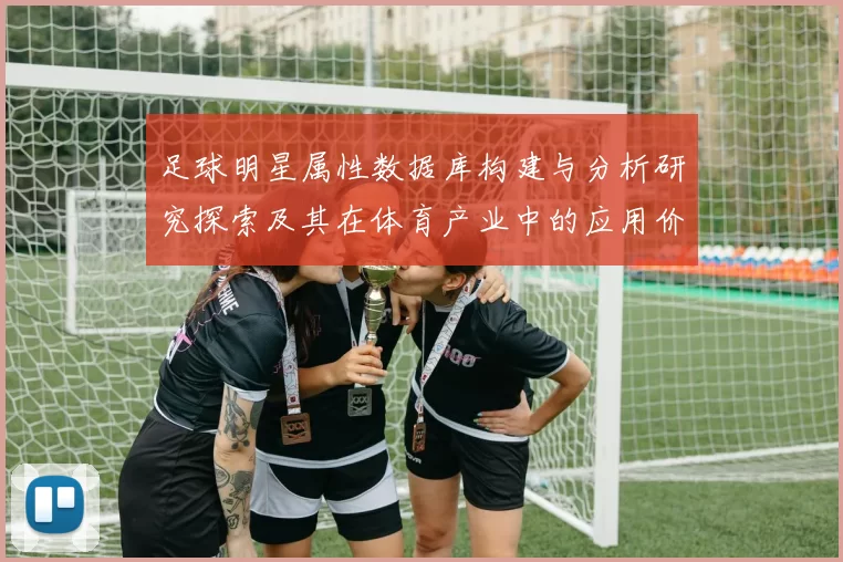 足球明星属性数据库构建与分析研究探索及其在体育产业中的应用价值