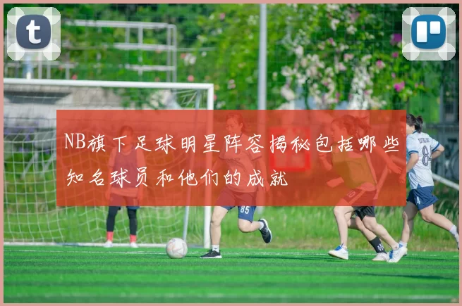 NB旗下足球明星阵容揭秘包括哪些知名球员和他们的成就