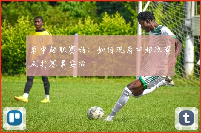 看中超联赛吗：如何观看中超联赛及其赛事安排