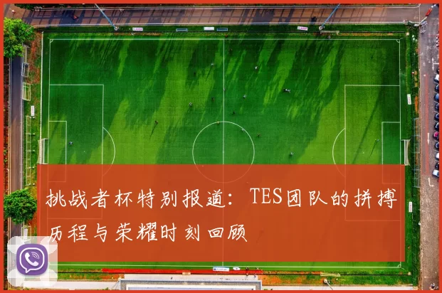 挑战者杯特别报道：TES团队的拼搏历程与荣耀时刻回顾