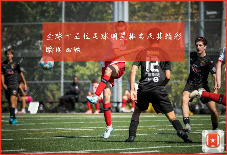 全球十五位足球明星排名及其精彩瞬间回顾